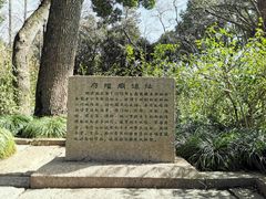 -上海方塔园