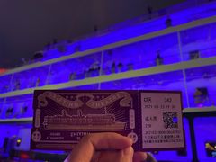 -武汉知音号