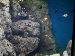 -福州罗源湾海洋世界旅游区