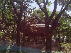 -秋霞圃