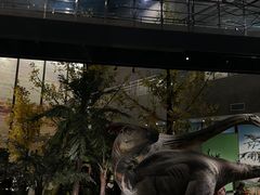 -湖南省地质博物馆