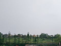 -江门古劳水乡旅游区