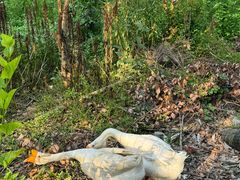 -呼吸森林·生态农庄农家乐私房菜