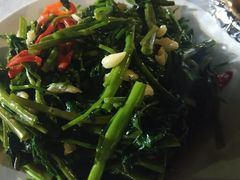 -越海渔村