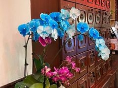 -山水茶艺馆·点心粤菜·30年老字号
