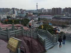 -上海东林寺(金山区)