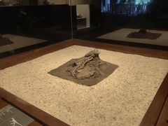 -世界恐龙谷景区