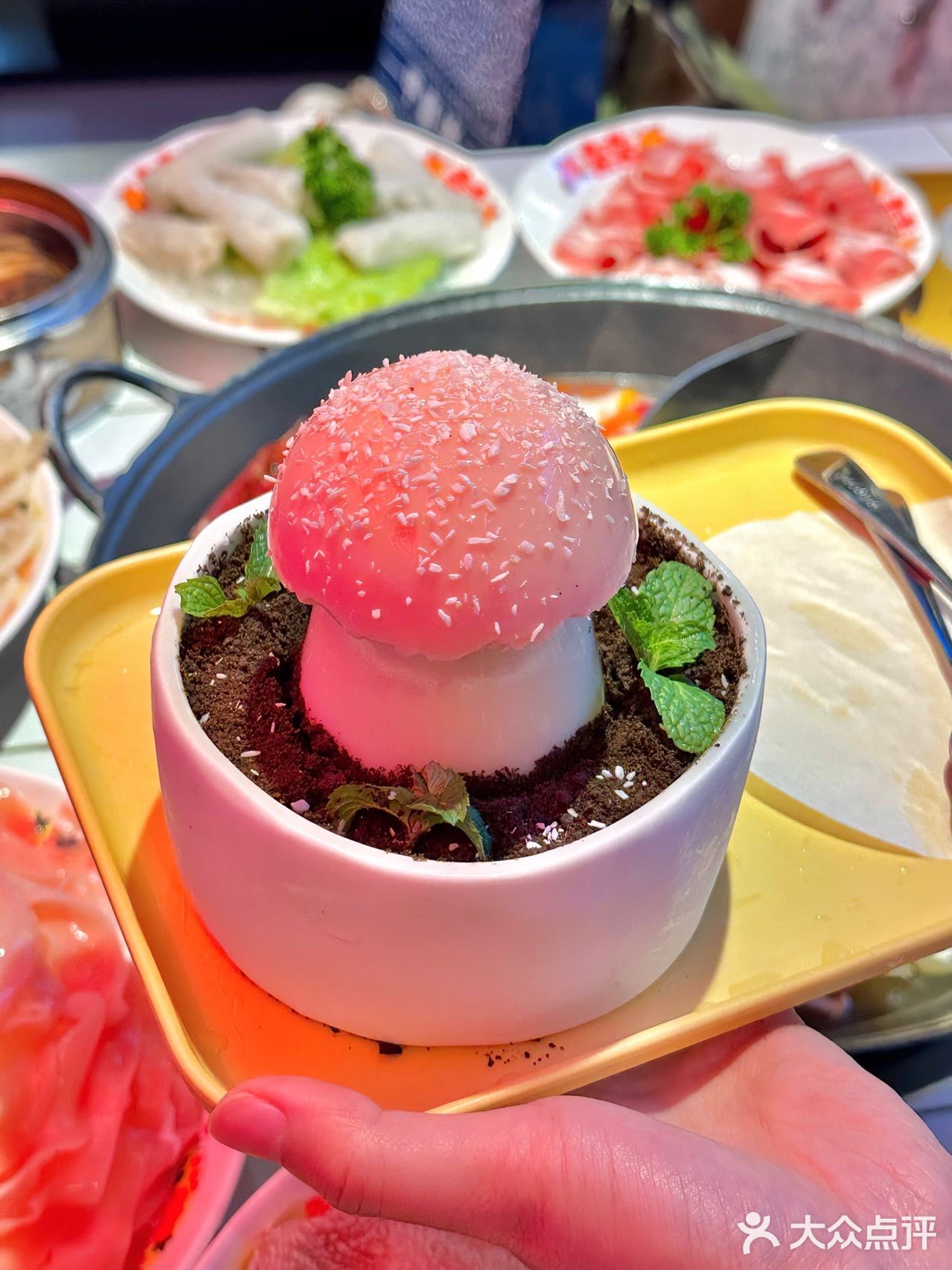 厦门的火锅居然已经这种程度了，不敢信