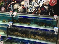 -盒马鲜生(红莲店)
