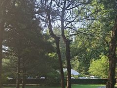 -尚庄度假村·庭台树下·户外烧烤·团建CS·轰趴营地(上庄水库店)