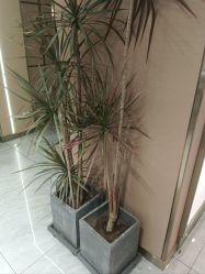 -一東造型烫发染发