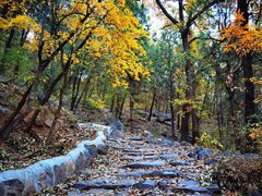 -阳台山自然风景区