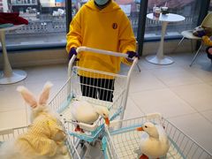 -怪兽屋·羊驼·猫咖·狗咖(俊华广场店)