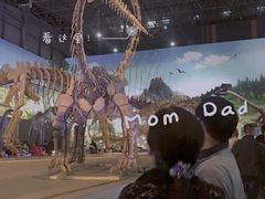 -中国西峡恐龙遗迹园