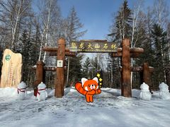 -峡谷浮石林景区