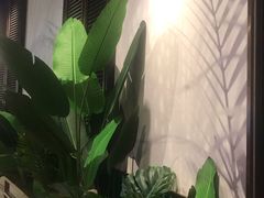 -真情鲍鱼海鲜汤