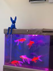 -海涛医疗美容·面部抗衰·注射美鼻