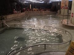 -北京九华山庄会展酒店