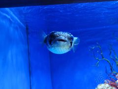 -多彩贵州城极地海洋世界