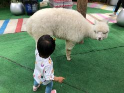 -萌宠亲子动物乐园(槐房万达店)