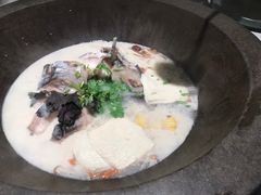 -鲜潭蒸汽石锅鱼(五道口购物中心店)