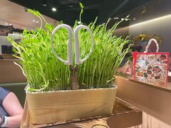 -海底捞火锅(关山保利店)