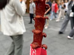 -黑色经典臭豆腐·湖南特产(潇湘文化店)