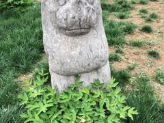 -洛阳古墓博物馆