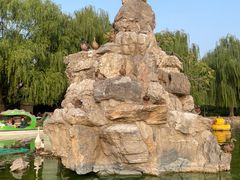 -团结湖公园