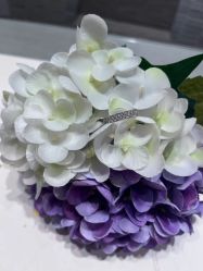 -I-PRIMO(深圳罗湖万象城店)