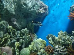 -福州罗源湾海洋世界旅游区