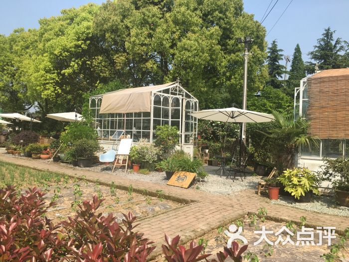 西岸氧吧农家乐图片 - 第9张