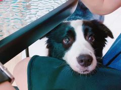 -上海潜殿潜水中心