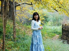 -南雄冯屋银杏山庄