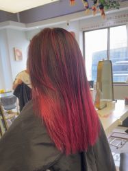 -镁连社·美联社