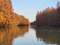 -上海海湾国家森林公园