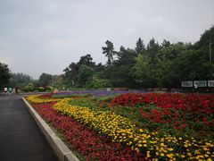 -长春市南湖公园