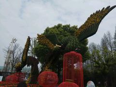 -上海植物园·停车场