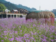 -程阳八寨景区