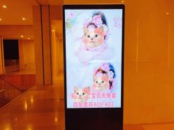 点击看大图 -沈阳君悦酒店宴会厅