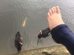 -芭东小镇温泉