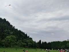 -武陵山森林公园