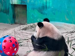 -杭州野生动物世界