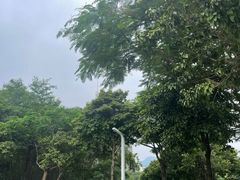 -白石龙音乐公园