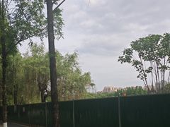 -成都南湖公园