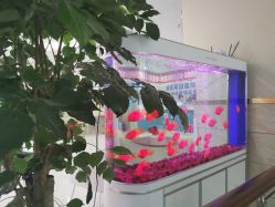 -成都军建医院·疤痕诊疗中心