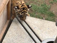 -乐和乐都动物主题乐园