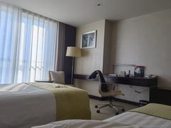 -国家会议中心大酒店