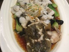 -张生记(丁香国际店)
