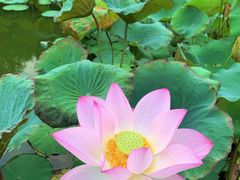 -厦门国家会计学院